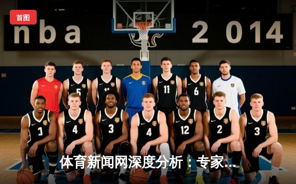 体育新闻网深度分析：专家解读